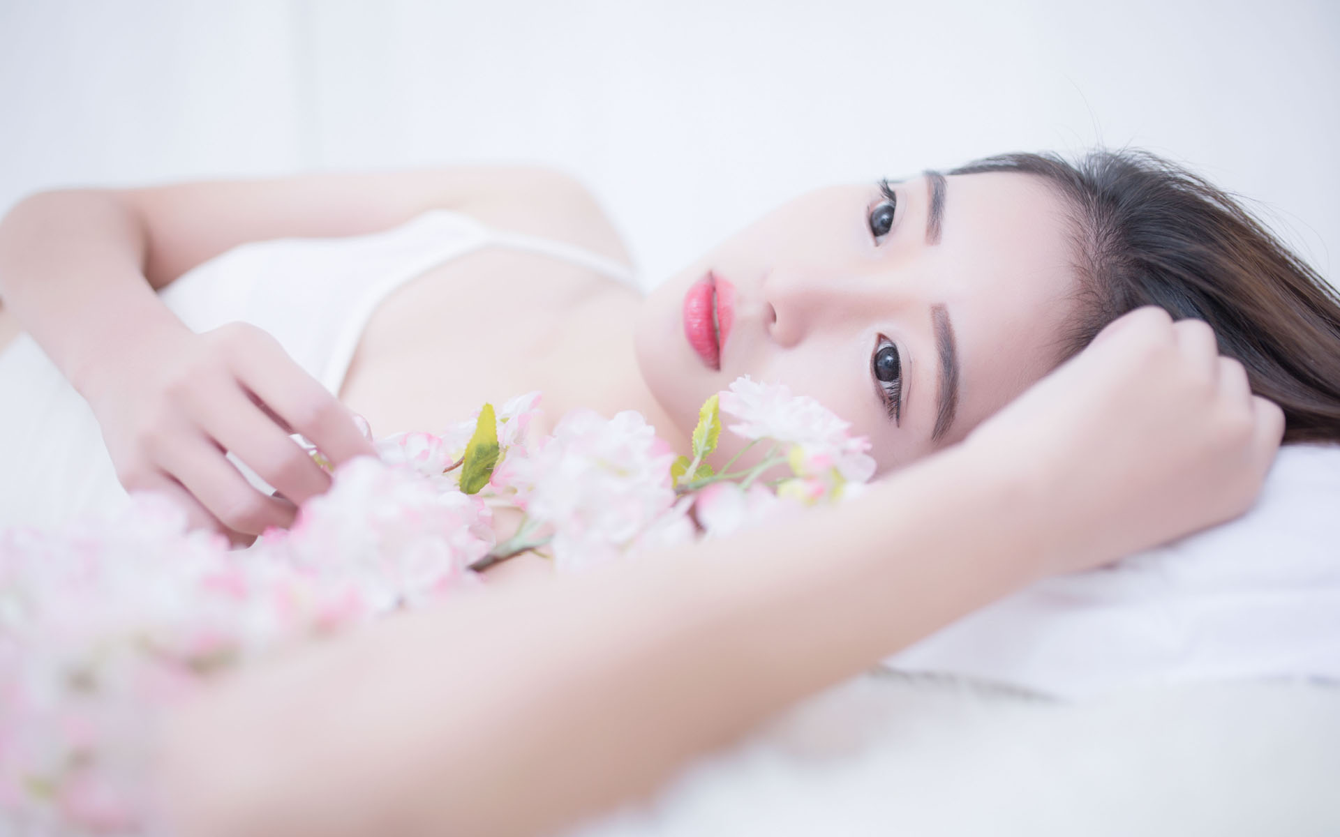 国家二级重点保护野生植物茶果樟在云南新增多个分布点